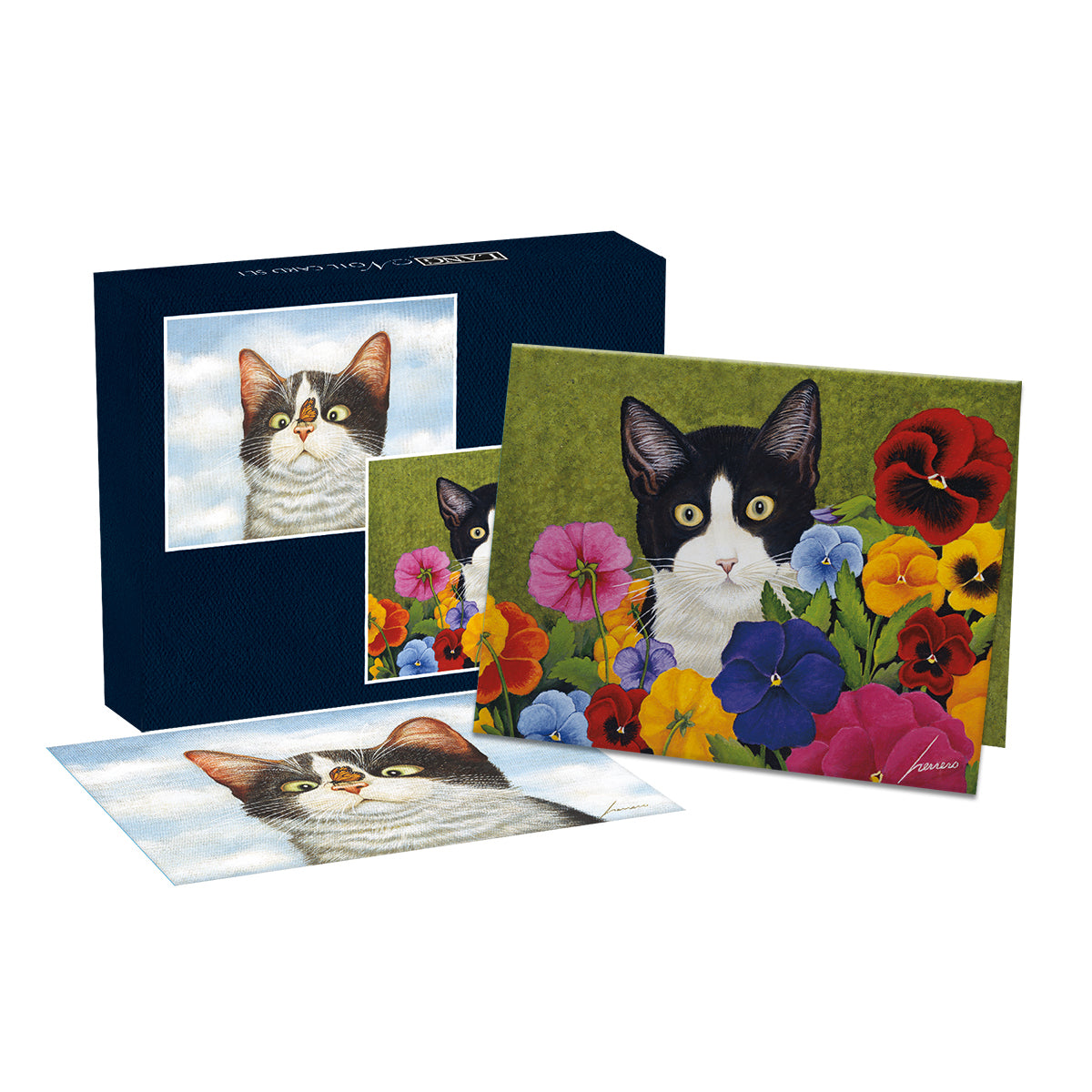 AMERICAN CAT Boxed Note Cards