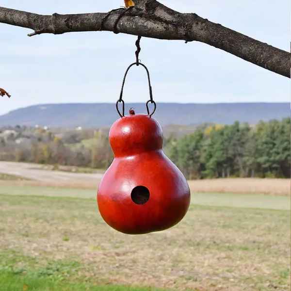 Red Wren Bird House Gourd