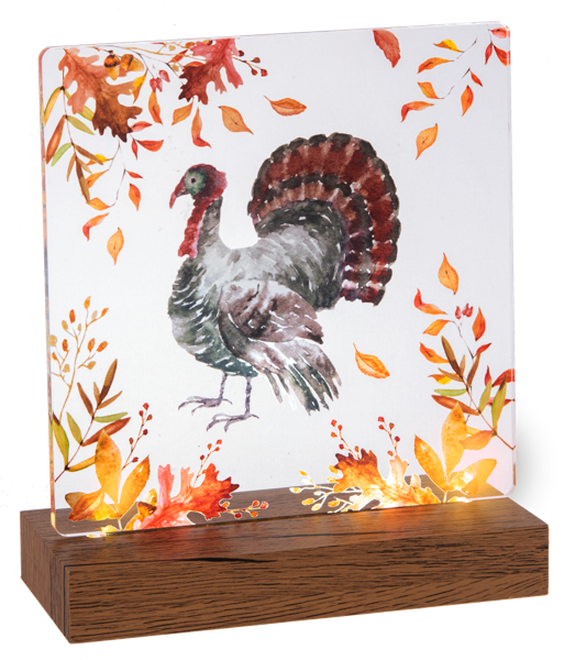 LED Light Up Turkey Tabletop Decor