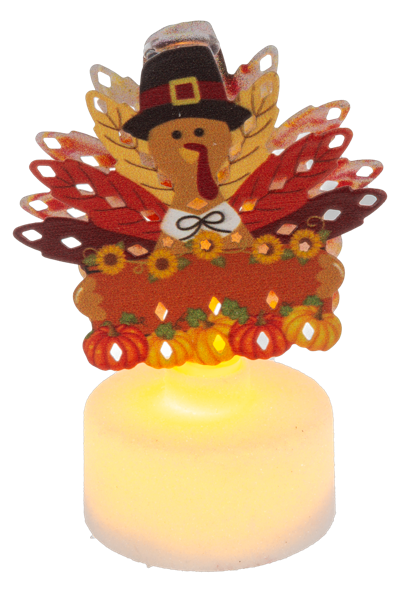 Led Mini Turkey