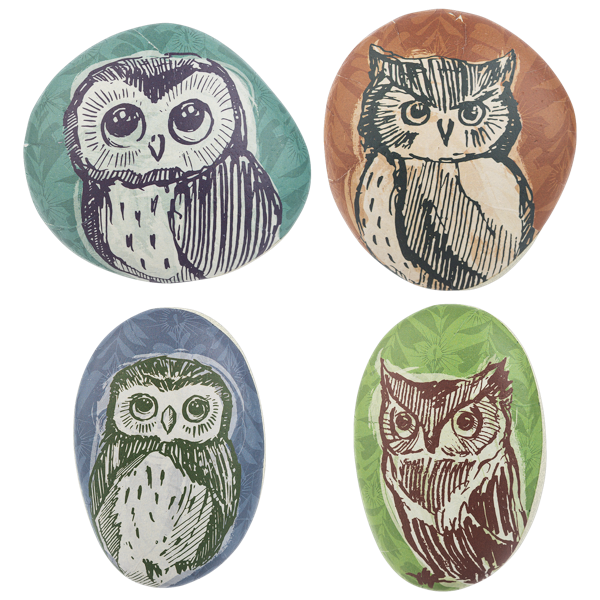 Owl Artrock