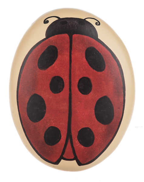 Ladybug Stone