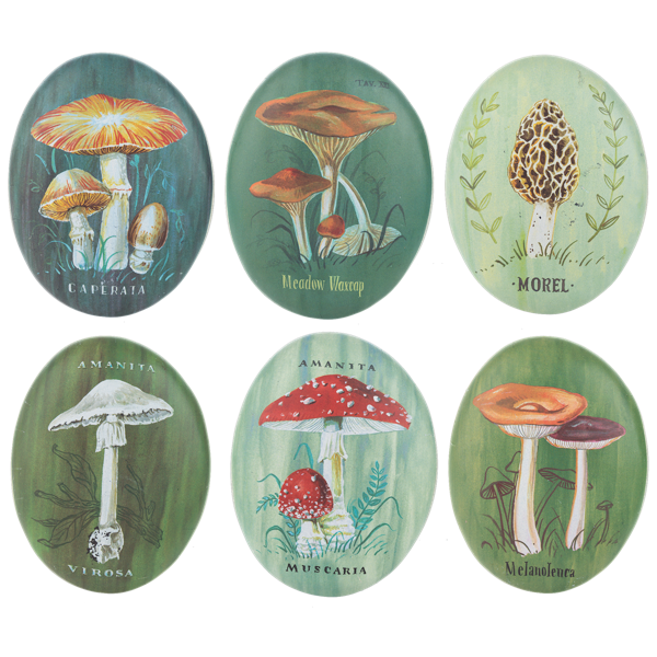 Mushroom Artrock - Assorted