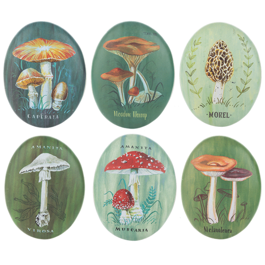Mushroom Artrock - Assorted