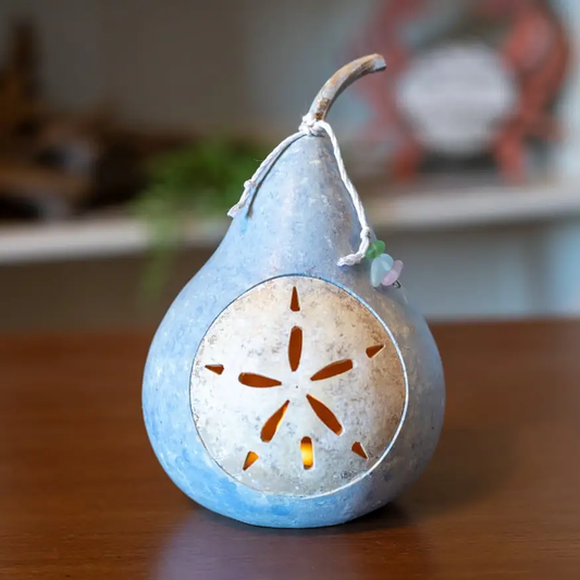 Mini Coastal Sand Dollar Gourd
