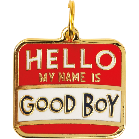 Good boy Collar Charm
