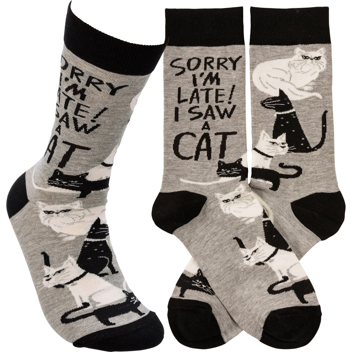 Saw A Cat Socks