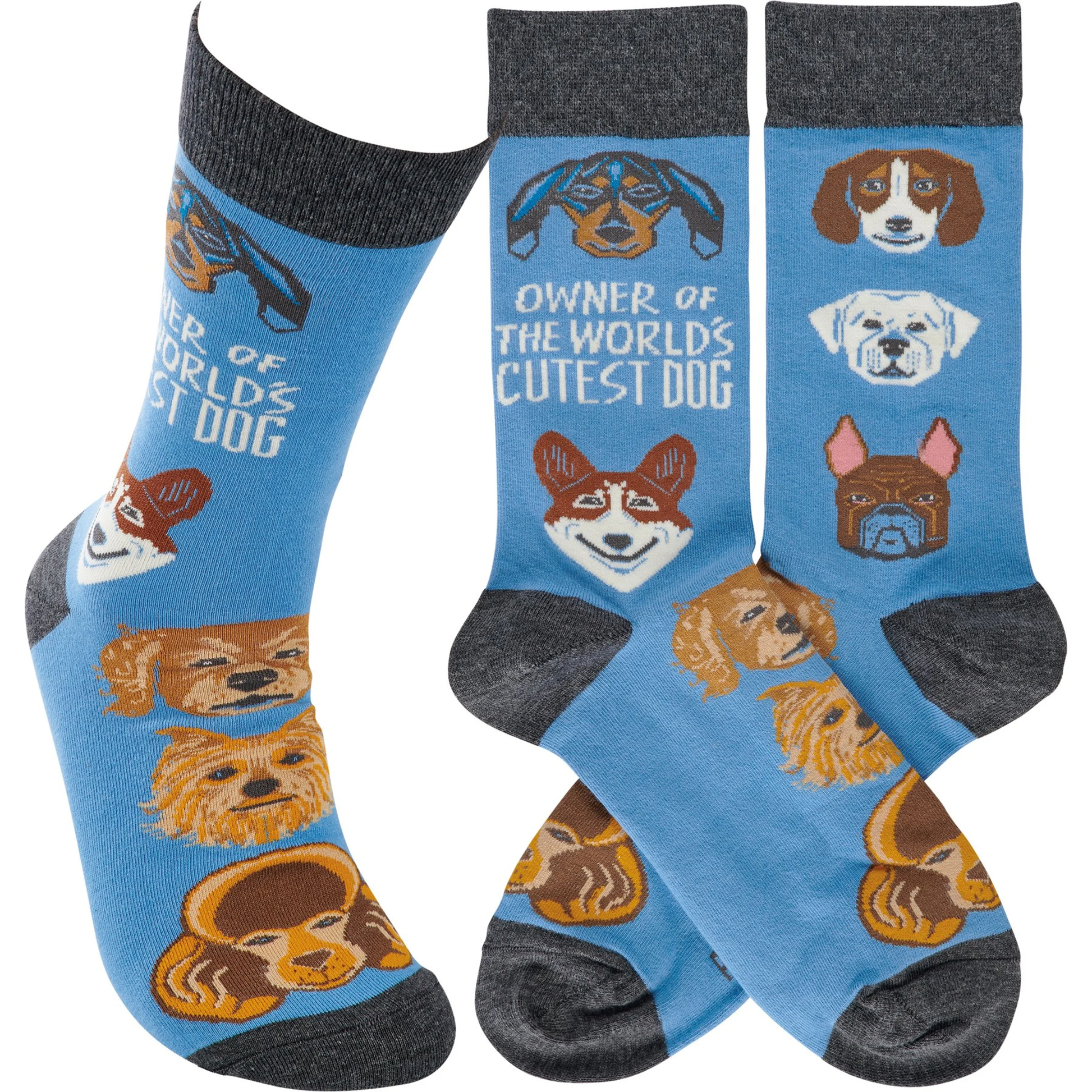 Cutest Dog Socks