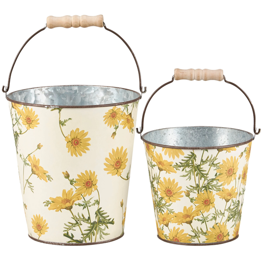 Large Yellow Daisy Bucket
