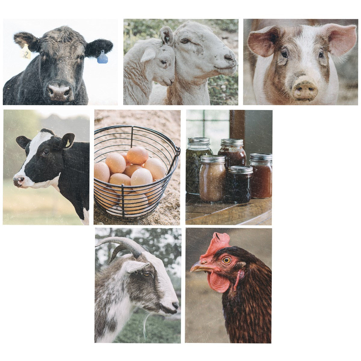 Homestead Note Card Set