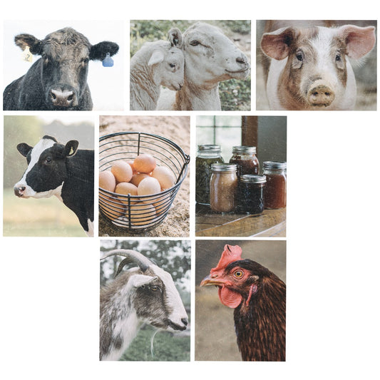 Homestead Note Card Set
