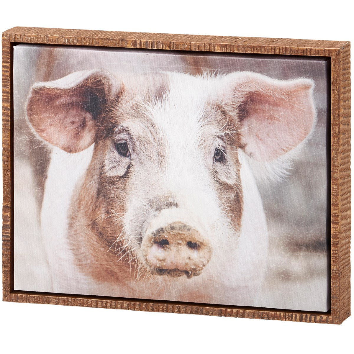 Pig Canvas Wall Art