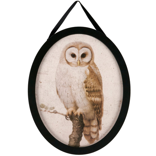 Owl Oval Hanging Decor