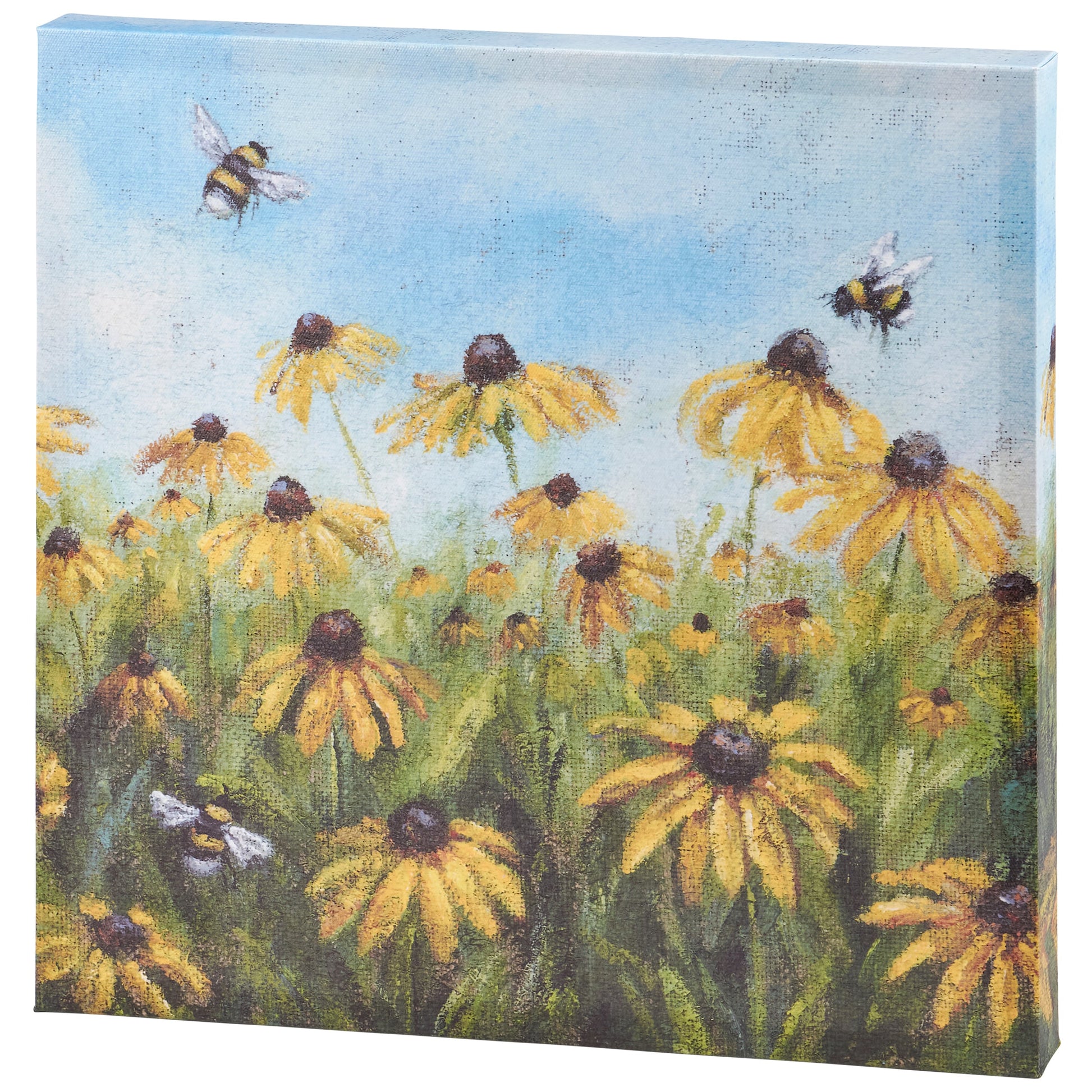 Black Eyed Susan Canvas 16X16