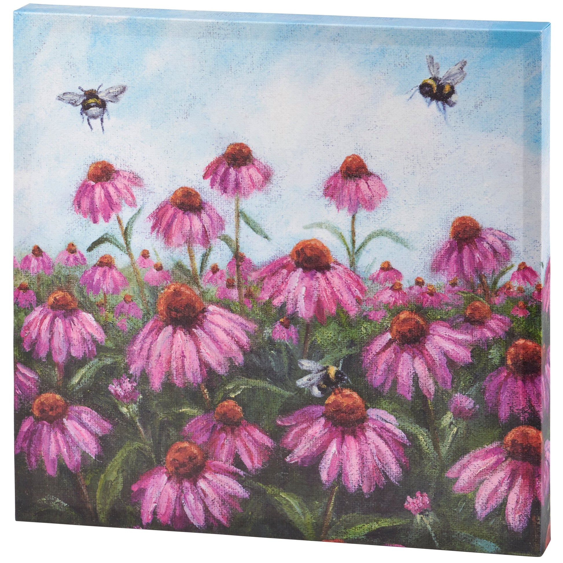 Pink Coneflower Canvas 16X16