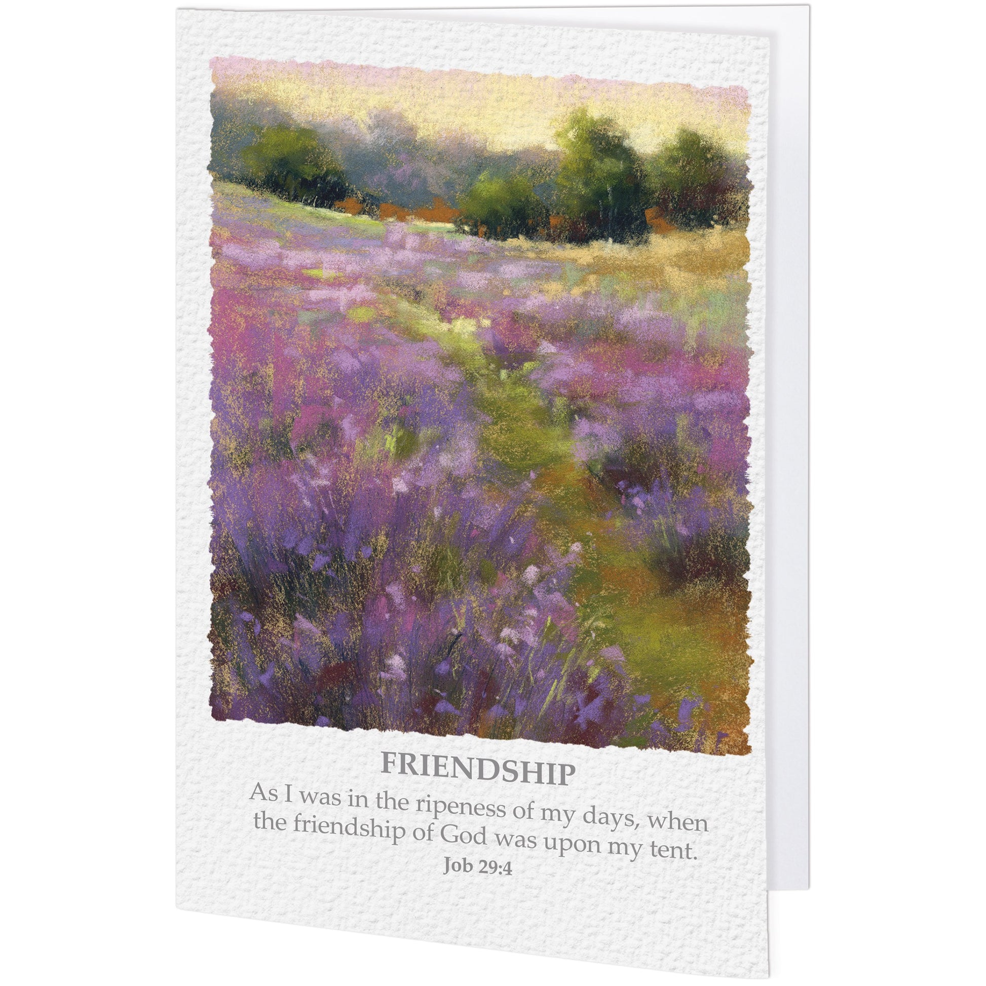Friendship Blank Card