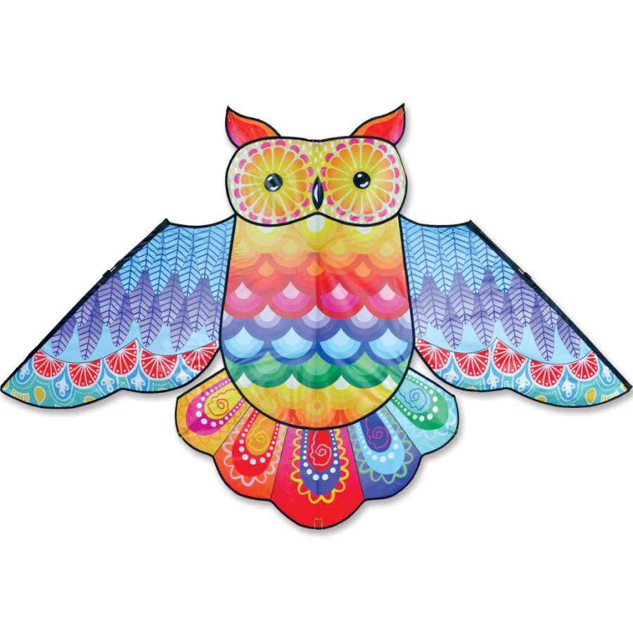 70" RAINBOW OWL KITE