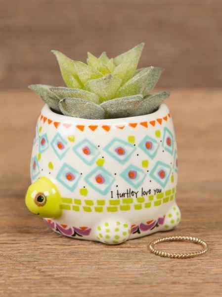 Turtle Mini Critter With Succulent