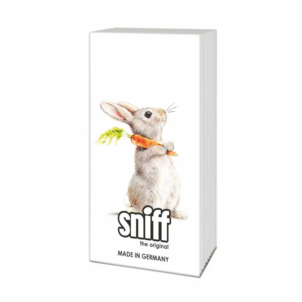 Rabbit With Carrot Sniffs