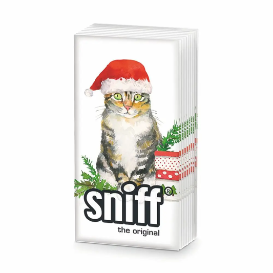 CHRISTMAS Kitty Sniffs