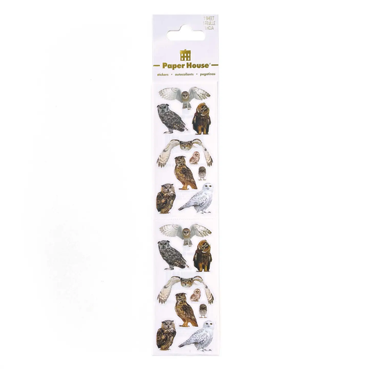 Owls Photgraphic Stickers