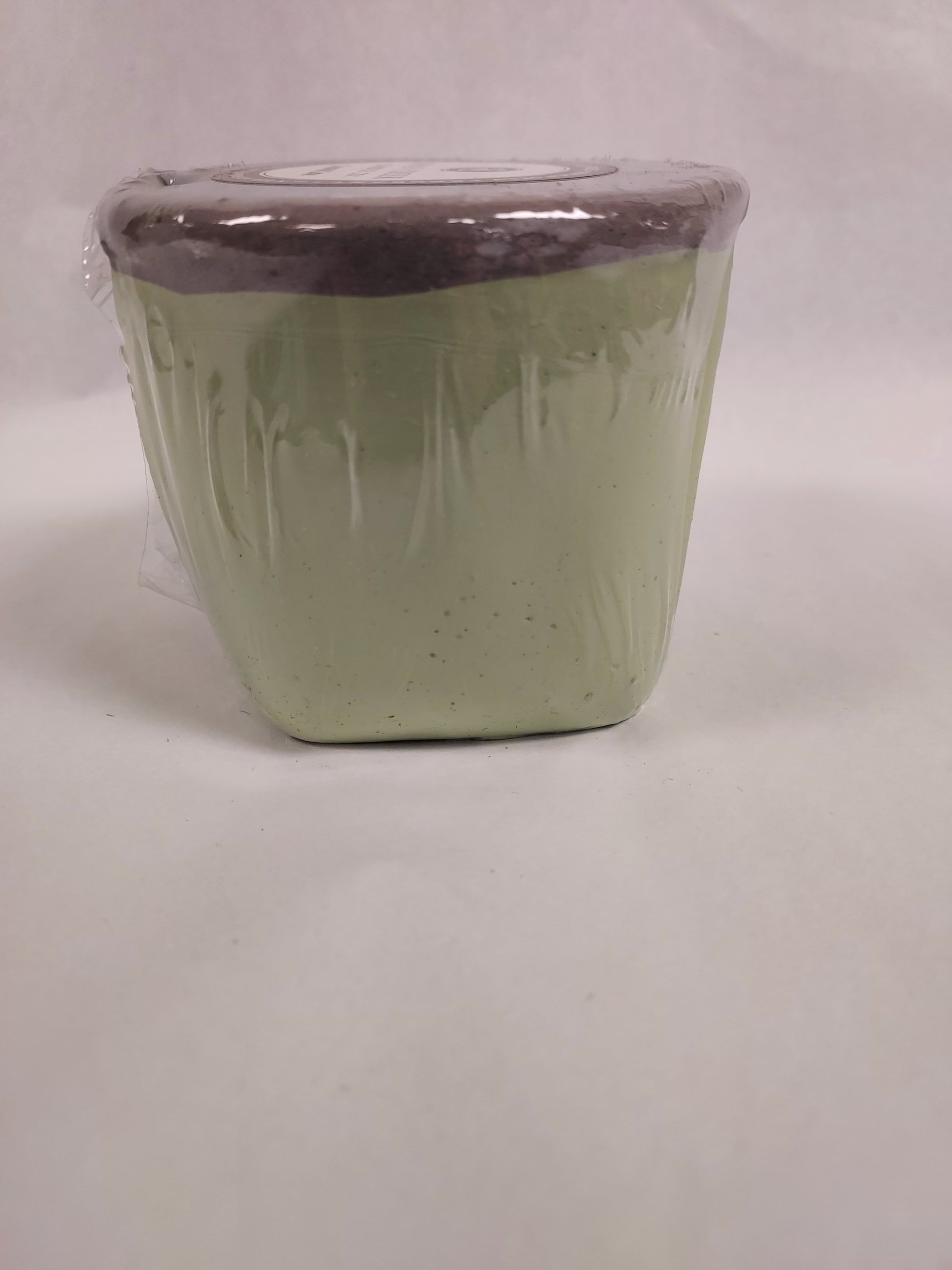 Coconut Lime Round Sorbet Pot