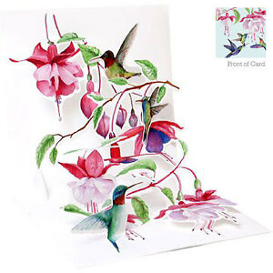 Hummingbirds POP UP CARD