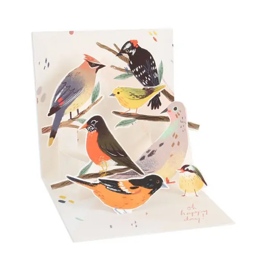 Backyard Birds Pop Up Card
