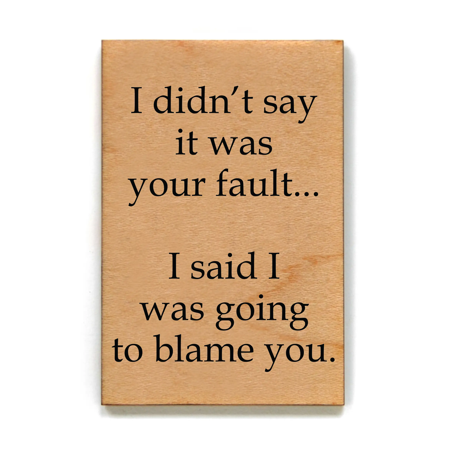 I DIDNT SAY IT WAS YOUR FAULT MAGNET