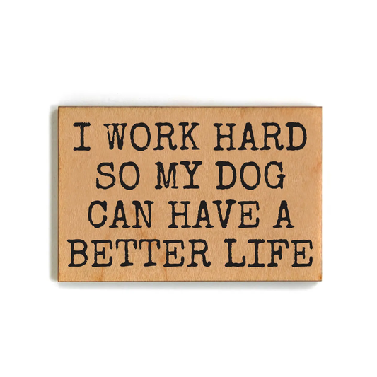 MY DOG CAN HAVE A BETTER LIFE MAGNET