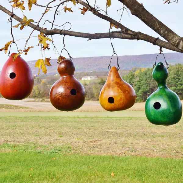 Green Bird House Bungalow Gourd