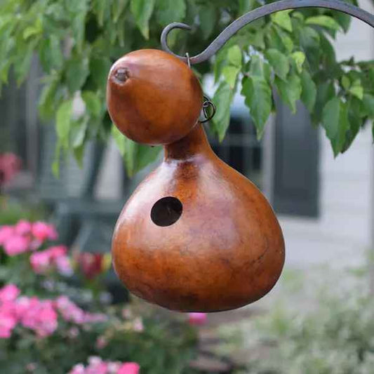 Walnut Bird House Bungalow Gourd