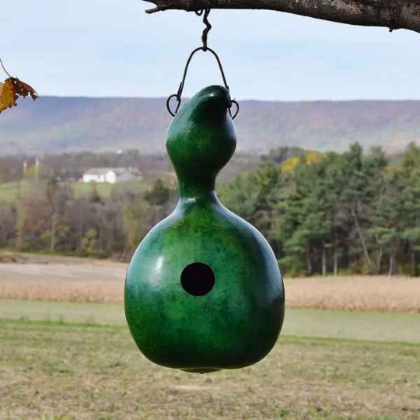 Green Bird House Bungalow Gourd