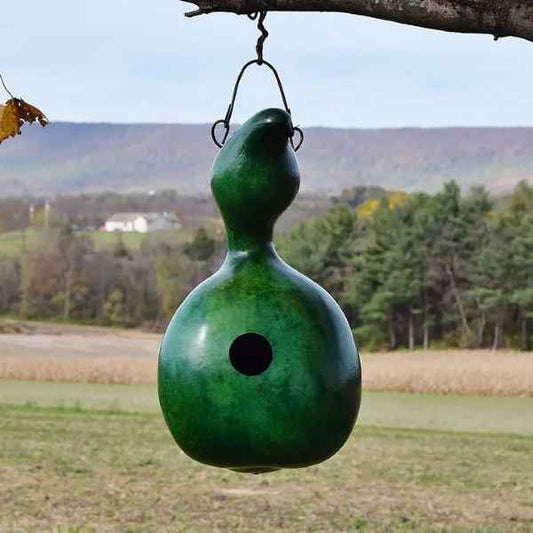 Green Bird House Bungalow Gourd