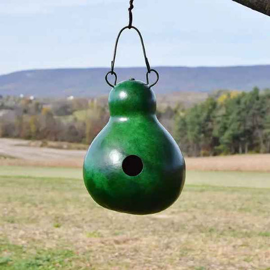Green Wren Bird House Gourd