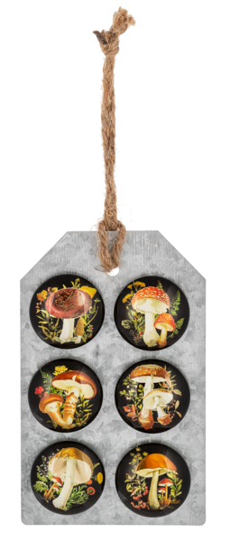 MUSHROOM MAGNET SET 6