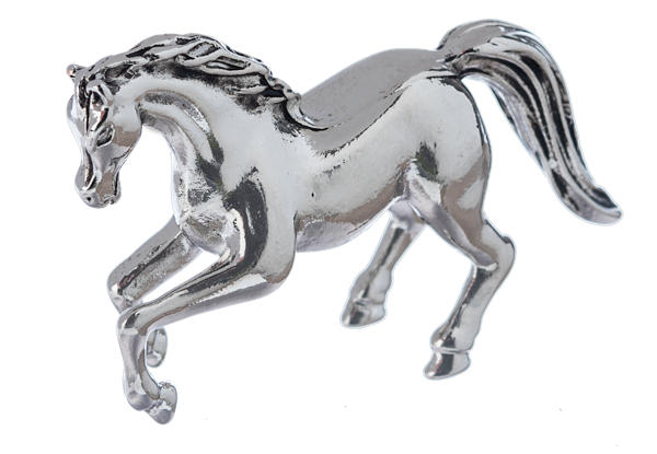 Mighty Horse Pocket Token