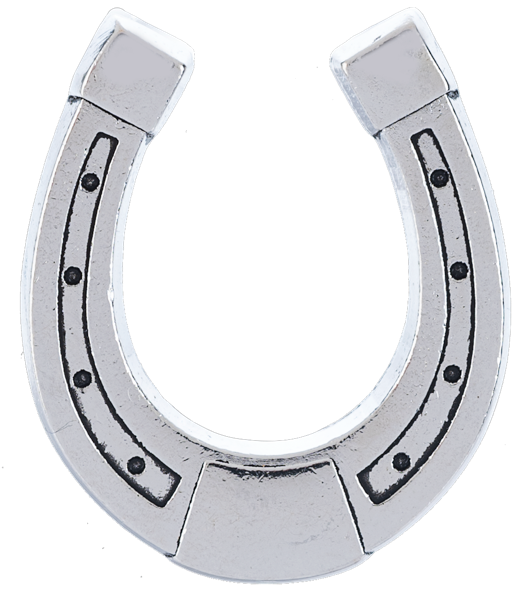 Lucky Little Horseshoe Pocket Token