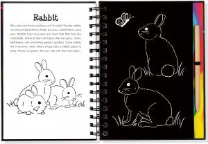 Forest Friends Scratch & Sketch