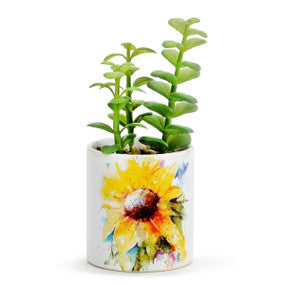 Sunflower Succelent