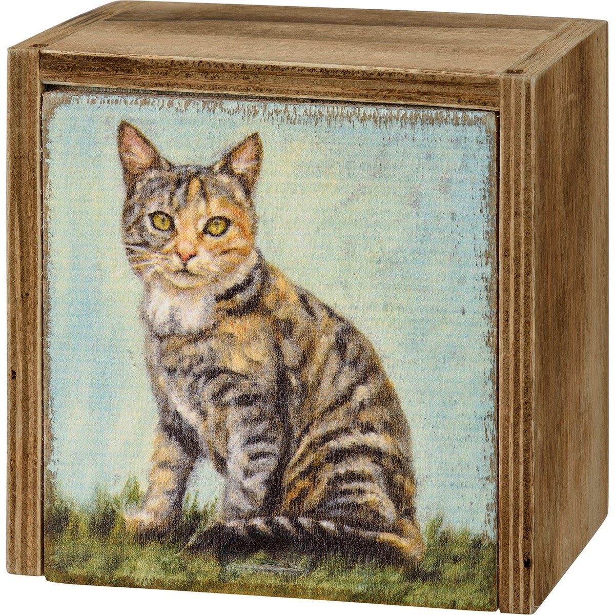 TABBY CAT MEMORY BOX