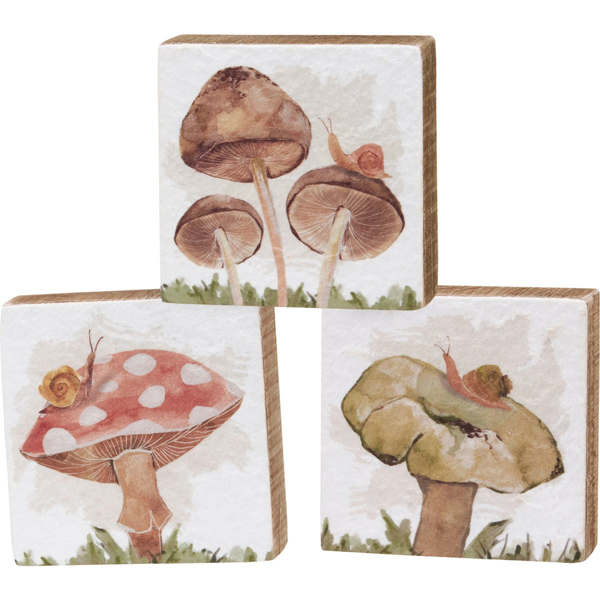 MUSHROOM BLOCK SIGN - ASST