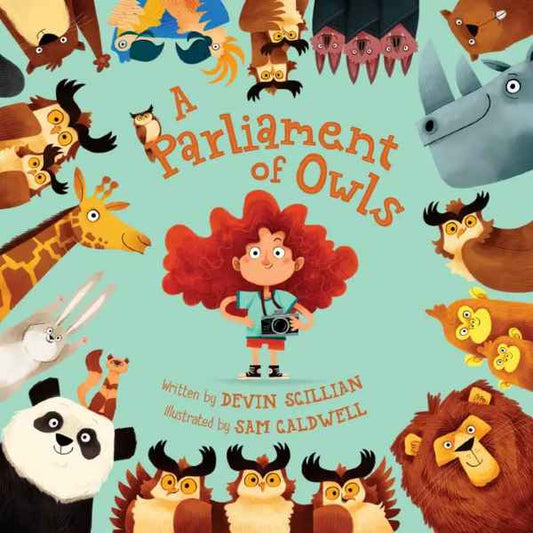 A Parliament of Owls HC Book