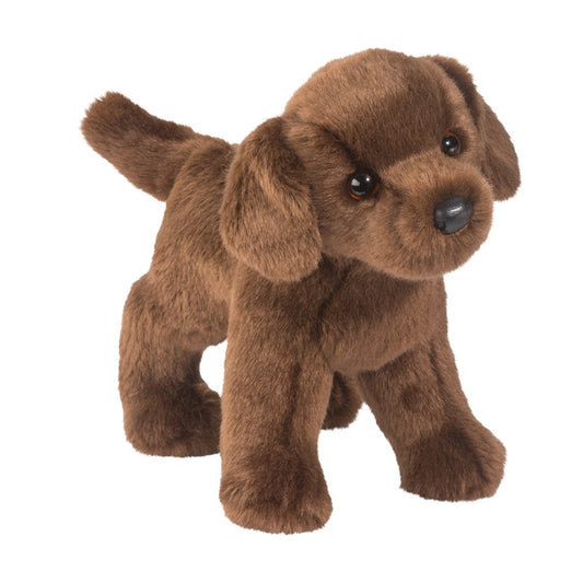 TUCKER CHOCOLATE LAB