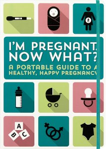 Pregnant Now What BOOK