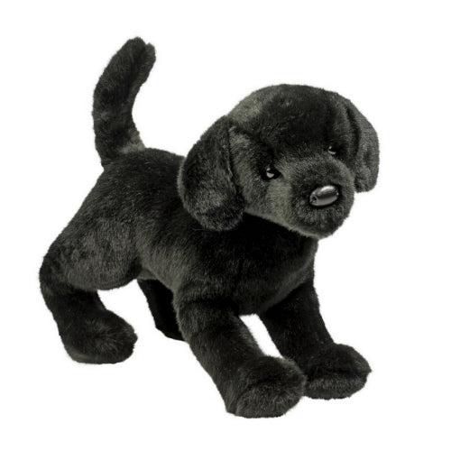*CHESTER BLACK LAB