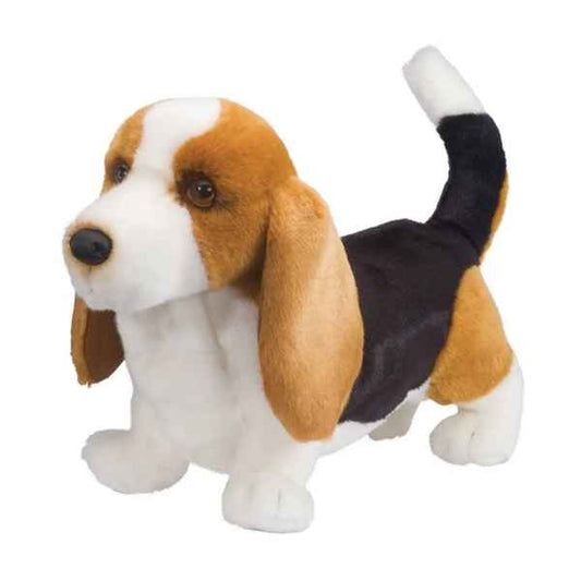 Harold Basset Hound, Standing