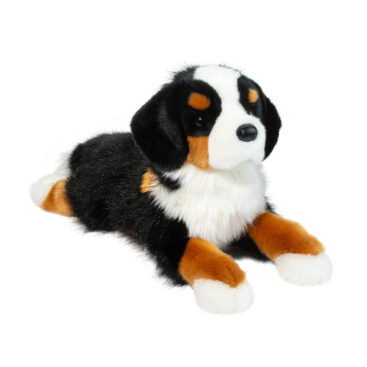 Trooper Bernese Mountain Dog