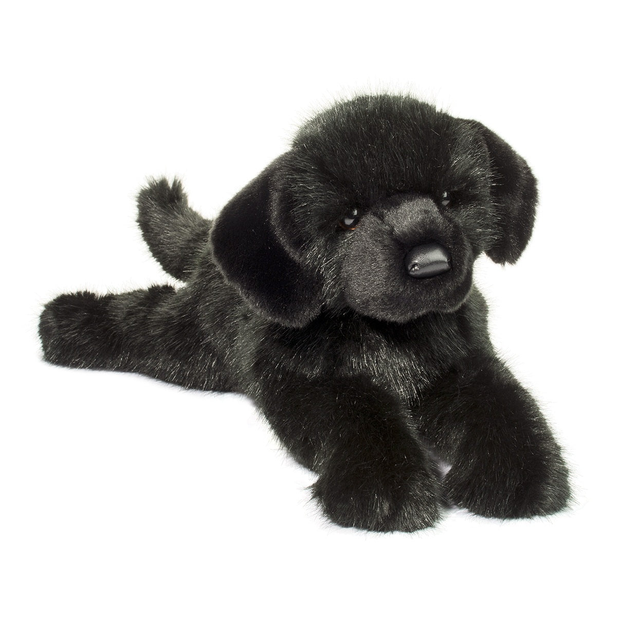Jake Black Lab