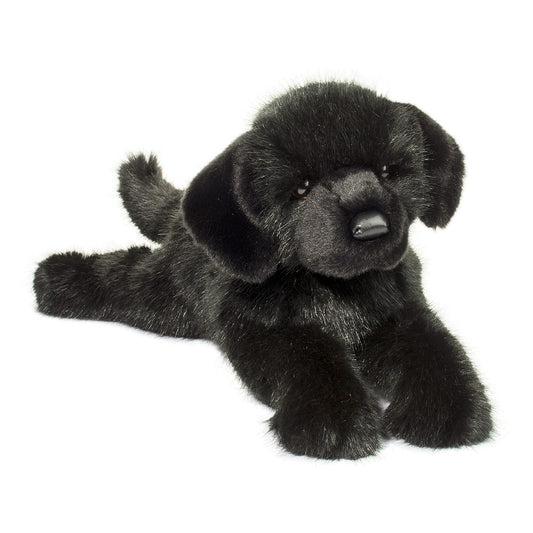 Jake Black Lab